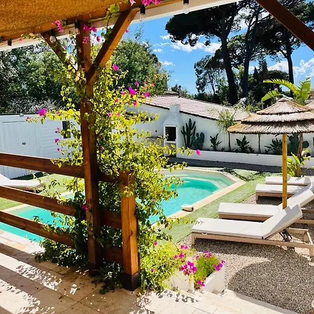 La Les Lauriers, 150 M De La Mer, Grimaud, Golfe De St Tropez * Grimaud