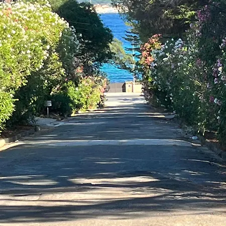 La Les Lauriers, 150 M De La Mer, Grimaud, Golfe De St Tropez *