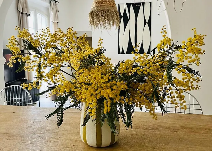 La Les Lauriers, 150 M De La Mer, Grimaud, Golfe De St Tropez Willa *